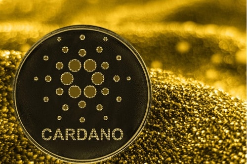 عاجل كاردانو تكشف عن مشاريع جديدة تثير حماسة السوق