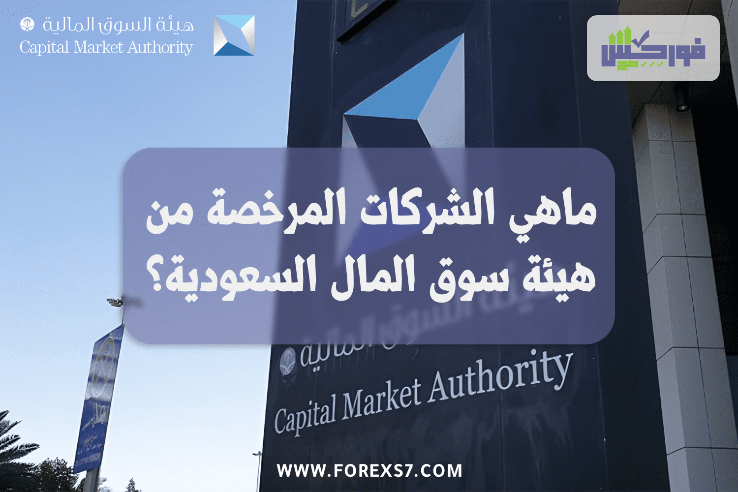 ما هي الشركات المرخصة من هيئة سوق المال السعودية ؟