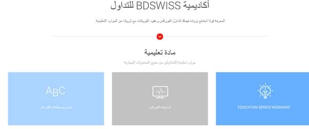 تقييم شركة BDSwiss