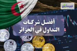 أفضل شركات التداول في الجزائر