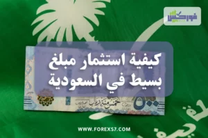 كيفية استثمار مبلغ بسيط في السعودية