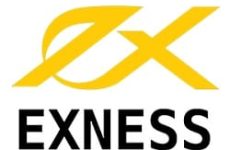 تقييم شركة exness